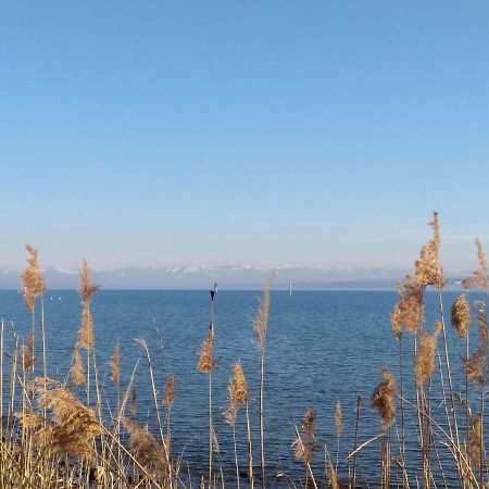 קרויצלינגן Ferienwohnung Mit Ausblick מראה חיצוני תמונה