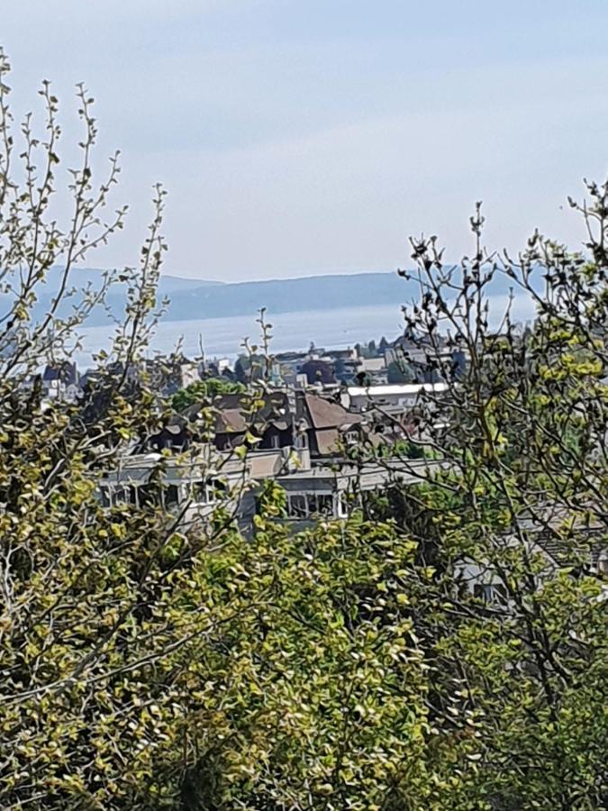 קרויצלינגן Ferienwohnung Mit Ausblick מראה חיצוני תמונה